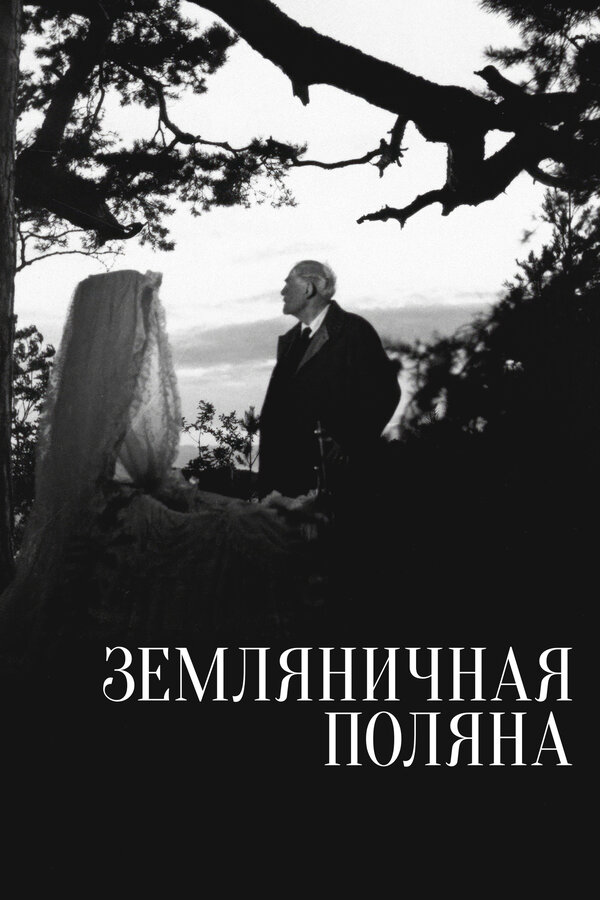 Земляничная поляна - постер